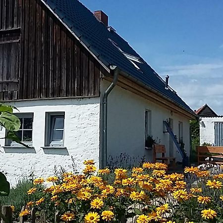 Zum Storchennest Hotel Kemnitz  Exterior photo